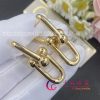 Tiffany HardWear Link Earrings in yellow gold 60006355